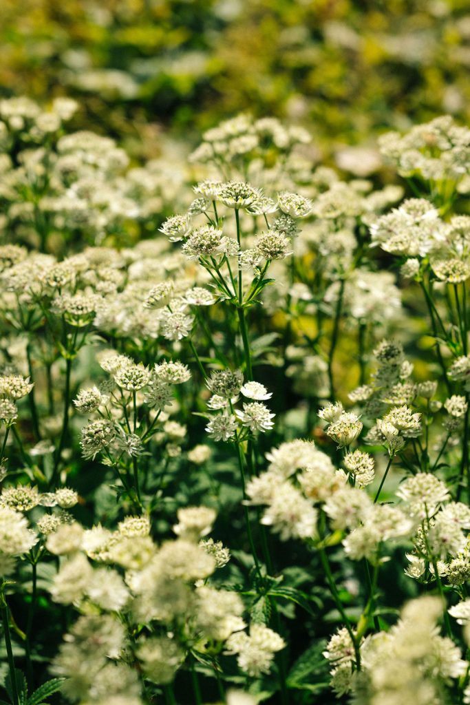 Nature - De Leuf exterior